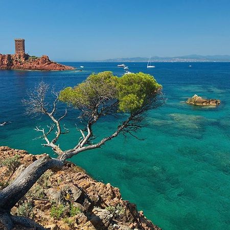 Appartement Frejus 5 Min De La Plage, 1 Min Centre Ville Exteriér fotografie