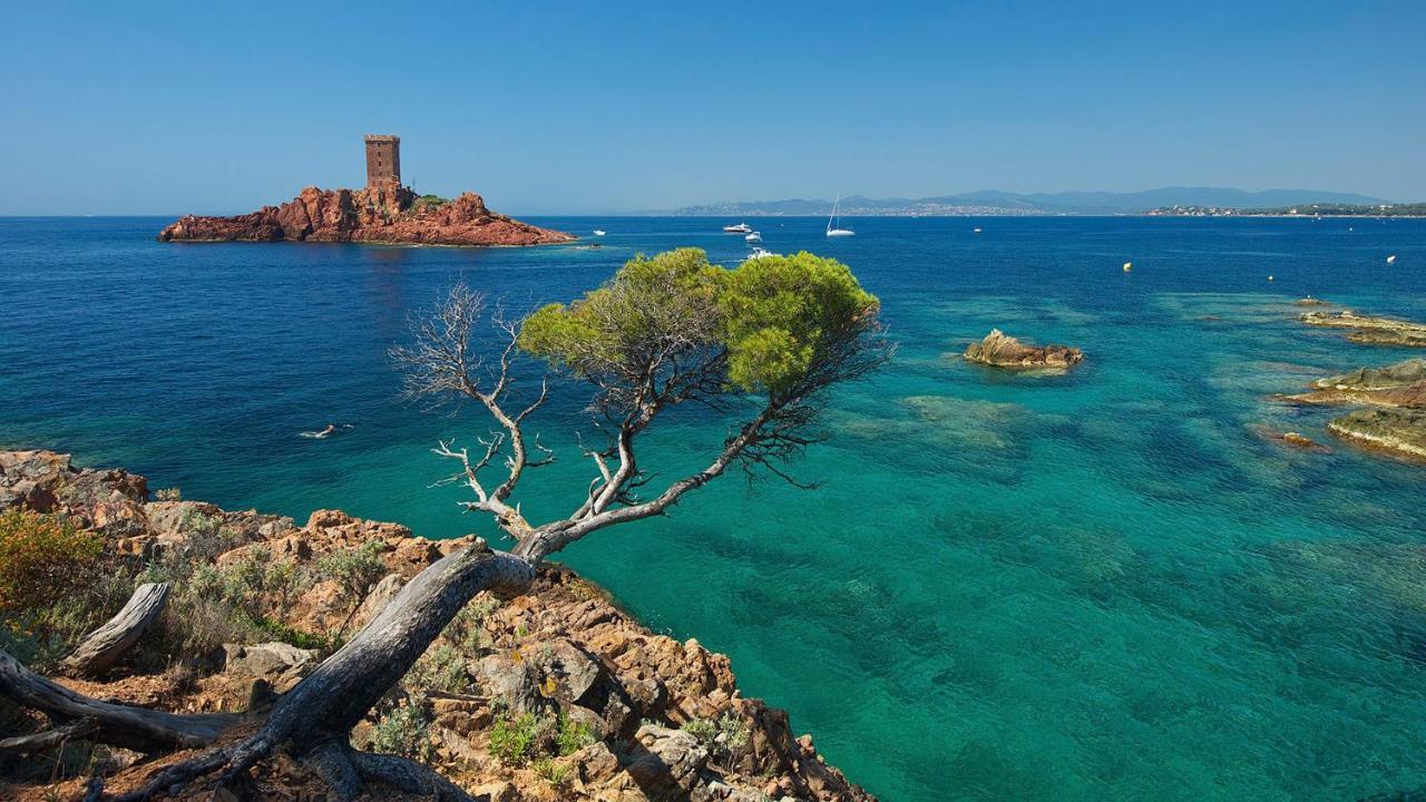 Appartement Frejus 5 Min De La Plage, 1 Min Centre Ville Exteriér fotografie